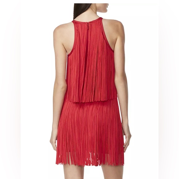 Hervé Léger
Tiered Fringe Minidress - Picture 4 of 5